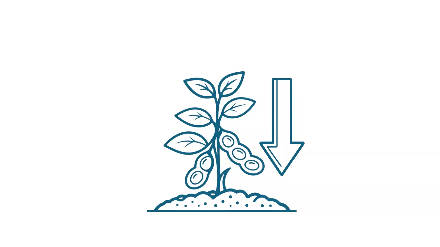 imagem de planta com doença buva